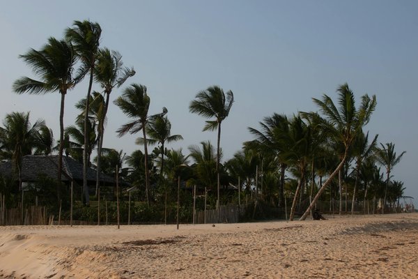 Laissez-vous tenter par une chambre avec jacuzzi à lille : l'expérience ultime pour un séjour inoubliable